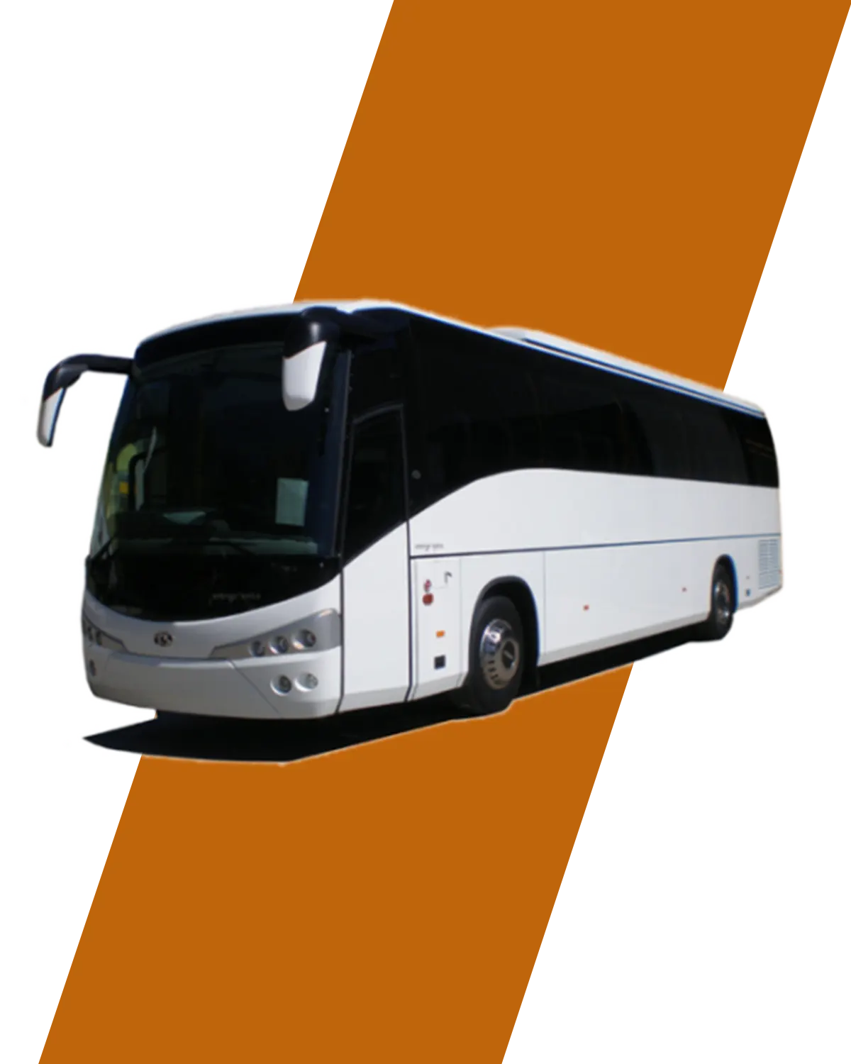 Ricambi Pullman Ricci Giorgio